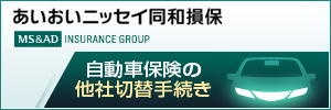 あいおいニッセイ同和損害保険の団体扱自動車保険ネットサービス（e-G1）